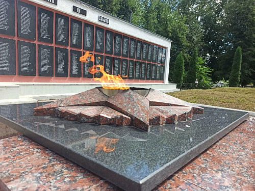 В городе Дмитриеве отметили 80-ю годовщину годовщину освобождения от немецко-фашистских захватчиков